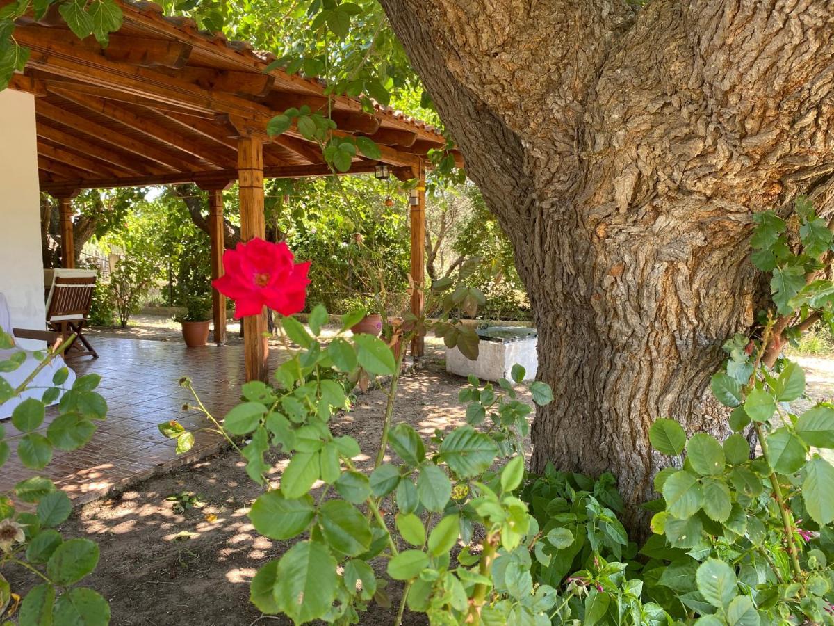 Maria'S House Sykia Chalkidikis Exterior foto